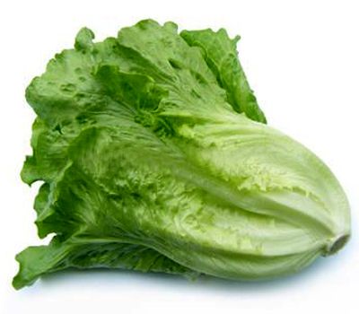 陽(yáng)臺怎么種生菜 陽(yáng)臺上如何種生菜