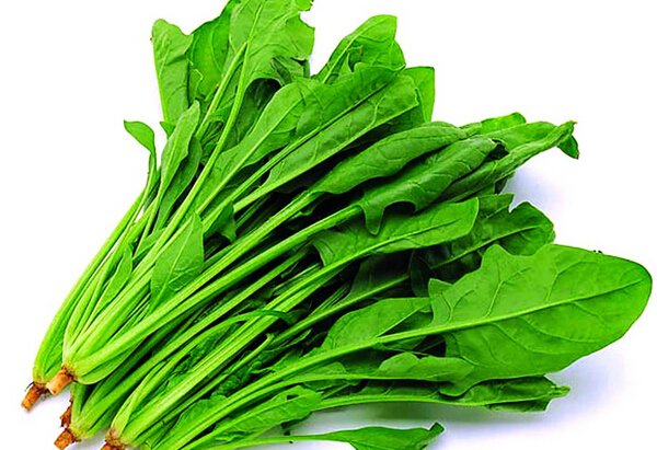 菠菜的營(yíng)養價(jià)值
