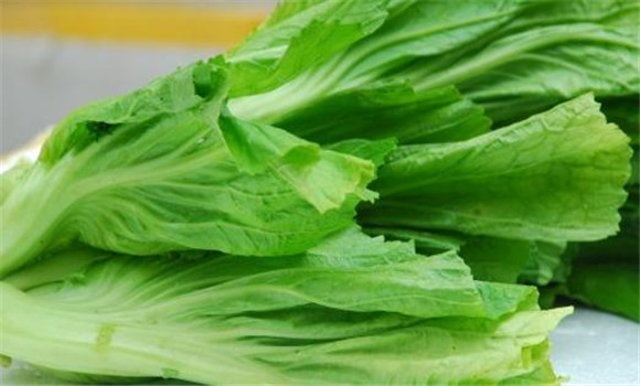 芥菜的醫療功效