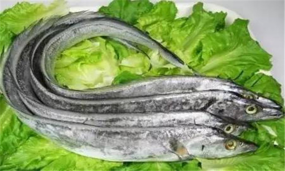 帶魚(yú)的營(yíng)養價(jià)值及功效