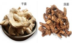 高良姜與干姜的區別 高良姜的作用與功效是什么