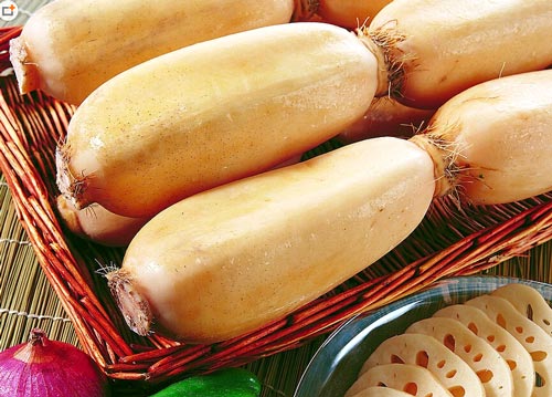 蓮藕的功效與營(yíng)養價(jià)值 吃蓮藕的好處