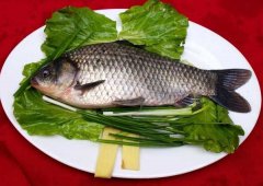 鯽魚(yú)的營(yíng)養價(jià)值及飲食禁忌