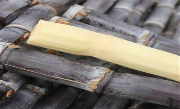 有關(guān)甘蔗的營(yíng)養功效的配方
