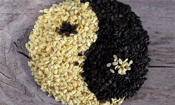 有關(guān)芝麻營(yíng)養價(jià)值功效的傳統論述