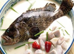 石斑魚(yú)的營(yíng)養價(jià)值 吃石斑魚(yú)的好處