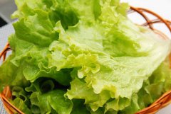 吃生菜的營(yíng)養價(jià)值和功效 生菜的功效與作用