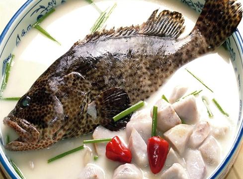 石斑魚(yú)的營(yíng)養價(jià)值 吃石斑魚(yú)的好處
