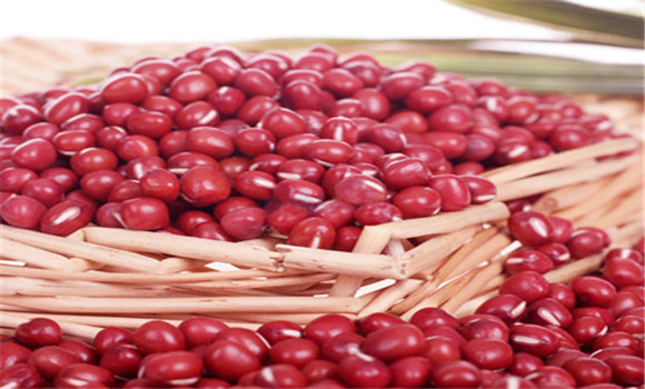 紅小豆的營(yíng)養價(jià)值