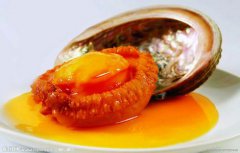 新鮮鮑魚(yú)的營(yíng)養價(jià)值及功效 鮑魚(yú)的功效與作用