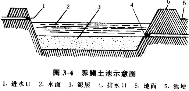 黃鱔養殖技術(shù)