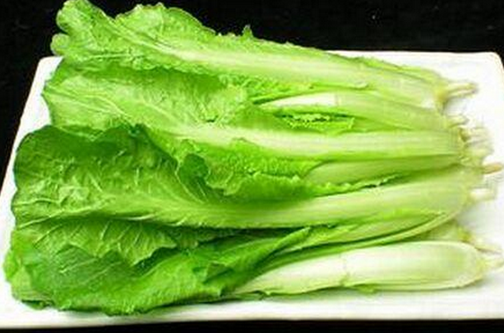 小白菜的營(yíng)養價(jià)值 吃小白菜的好處