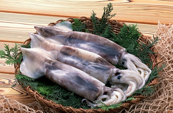 魷魚(yú)的營(yíng)養價(jià)值與功效