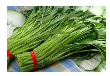 空心菜的營(yíng)養價(jià)值有哪些