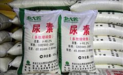氮肥利用率大約是多少，氮肥是尿素肥嗎？