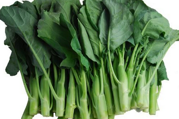 芥藍菜的藥用價(jià)值和功效