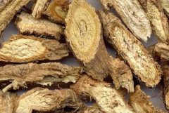 中藥防風(fēng)的功效與作用 中藥防風(fēng)能冶關(guān)節痛
