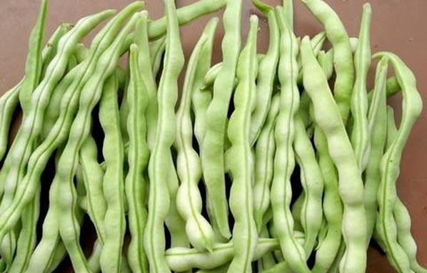 豆角的營(yíng)養價(jià)值及功效