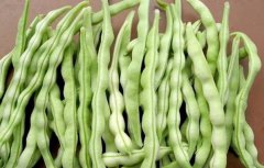 豆角的營(yíng)養價(jià)值及功效 豆角的功效與作用