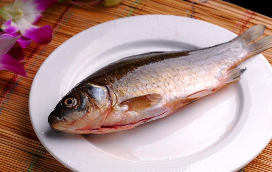 鯽魚(yú)的營(yíng)養價(jià)值及功效