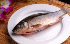 鯽魚(yú)的營(yíng)養價(jià)值及功效