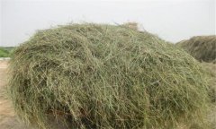 優(yōu)質(zhì)青干草應具備哪些條件，如何評定其質(zhì)量