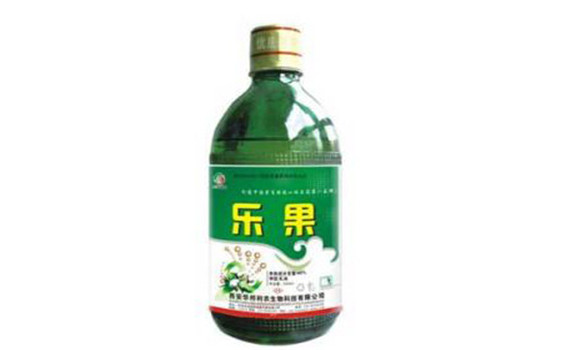 樂(lè )果的作用和功效