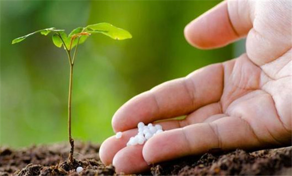 目前生物有機復合肥料使用中存在的問(wèn)題