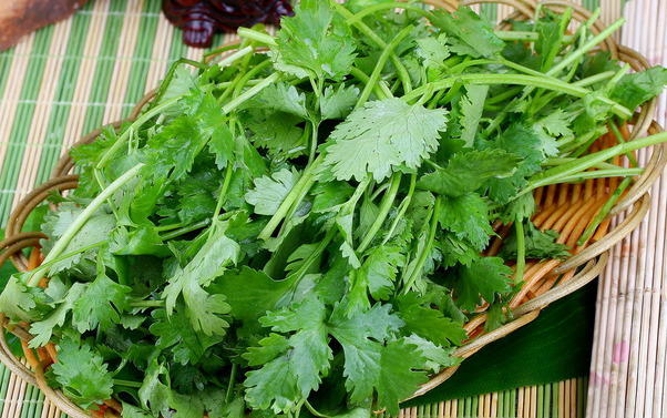 香菜的營(yíng)養價(jià)值 吃香菜的好處
