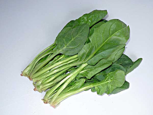 菠菜的營(yíng)養價(jià)值