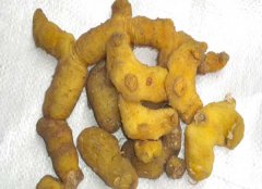 黃精的產(chǎn)地有哪些？