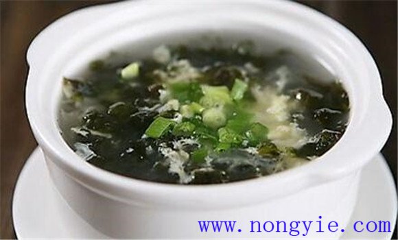 紫菜的養生價(jià)值