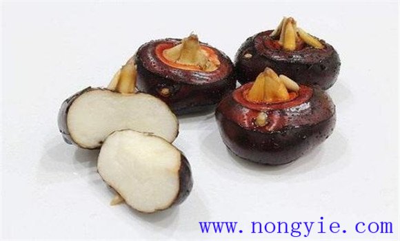 荸薺的營(yíng)養價(jià)值