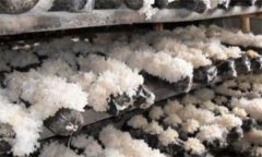 銀耳的蟲(chóng)害主要有哪些，如何防治