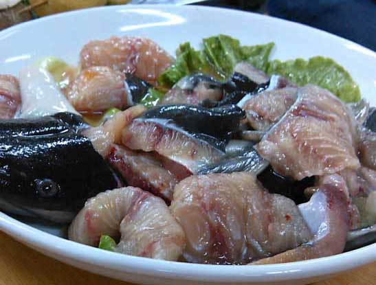 鯰魚(yú)養殖