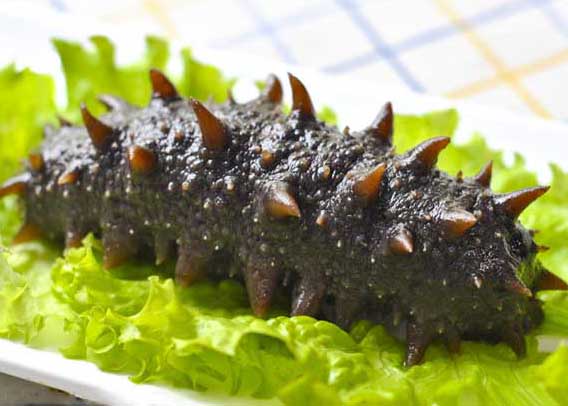 海參營(yíng)養價(jià)值