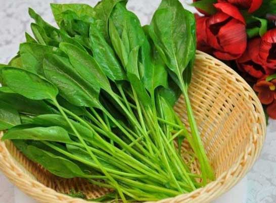 菠菜的營(yíng)養價(jià)值