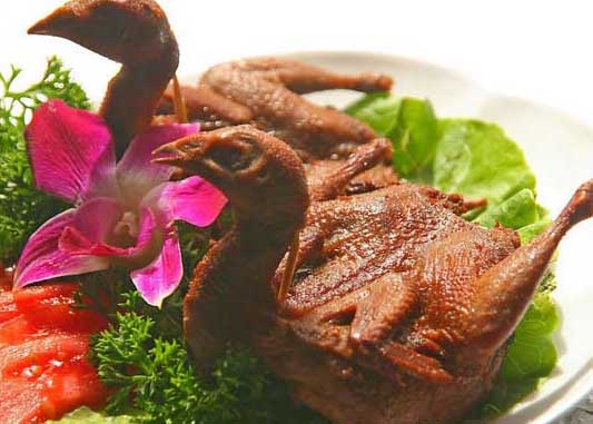 鵪鶉養殖技術(shù)