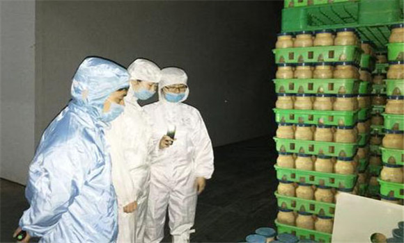 猴頭菇裝袋滅菌技術(shù)要點(diǎn)及其注意事項