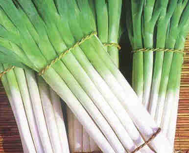大蔥的作用和營(yíng)養成分