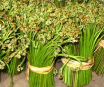 蕨菜的營(yíng)養價(jià)值有哪些？