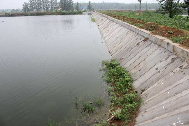 養魚(yú)技術(shù)