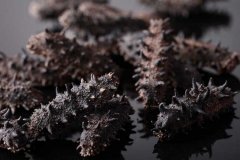 干海參的保存方法 在購買(mǎi)的時(shí)候怎么辨別質(zhì)量