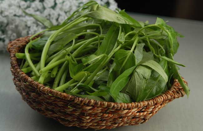 空心菜的營(yíng)養價(jià)值