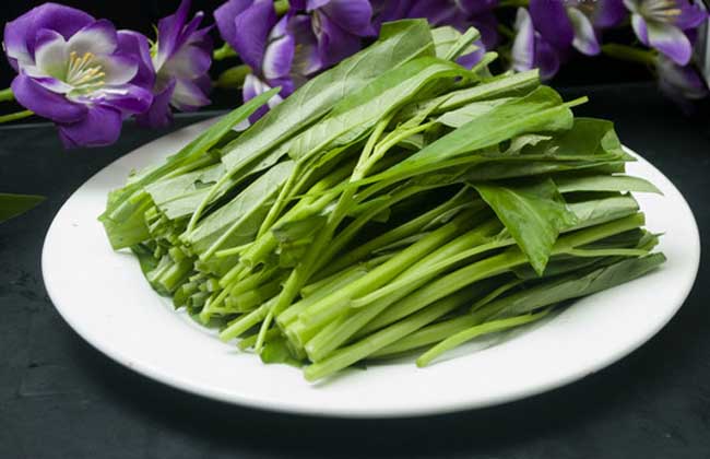 空心菜的營(yíng)養價(jià)值