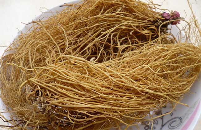 射干麻黃湯和小青龍湯的區別