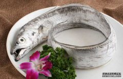 帶魚(yú)的產(chǎn)地、分布生活習性與品種分類(lèi)
