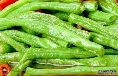 豇豆的營(yíng)養價(jià)值