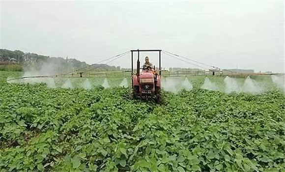 采用機械除草與化學(xué)除草相結合