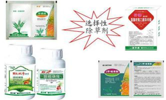 按除草劑在植物體內的輸導性能分類(lèi)